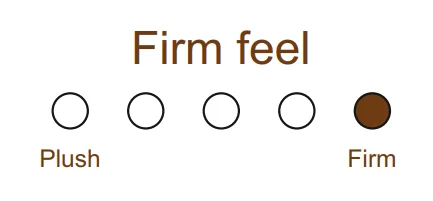 Firm-feel-Forest-Life