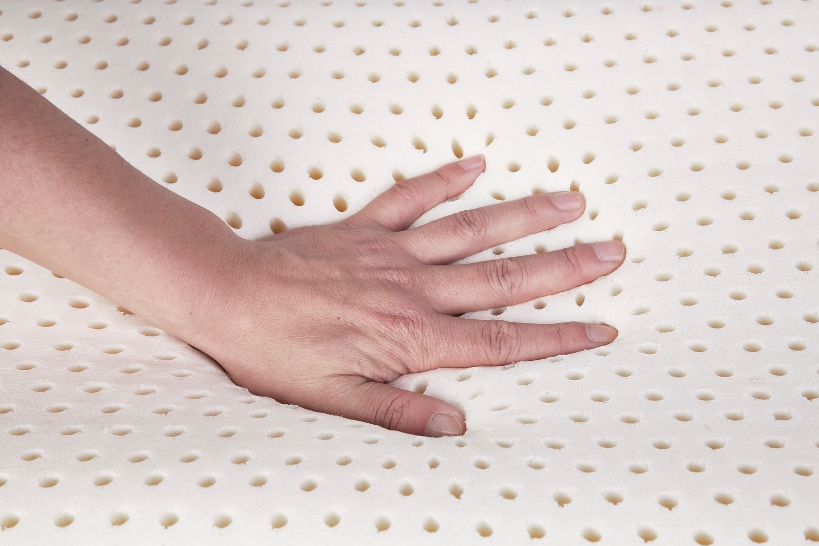 Certified-Organic-and-Natural-Latex-Forest-Life