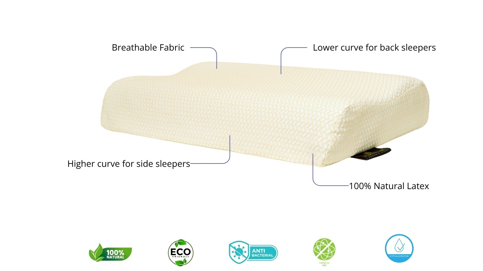 Hevea Contour Latex Pillow - Image 7